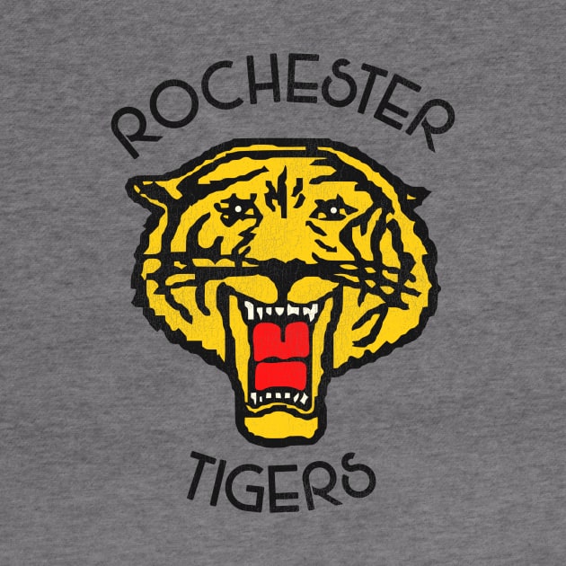 Defunct Rochester Tigers Football Team by Defunctland